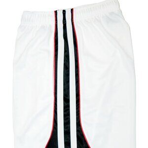Mens Basketball Mesh Shorts